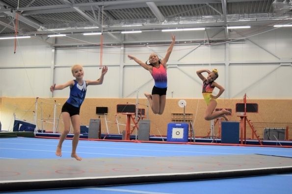 インフレータブル体操マット、ヨガタンブリングマット、インフレ - Tumbling Air Track のレビューと価格