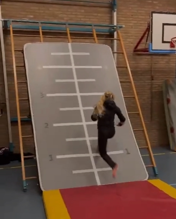 3m 5m 6m 8m 10m 12m ビッグサイズ インフ - Tumbling Air Track のレビューと価格